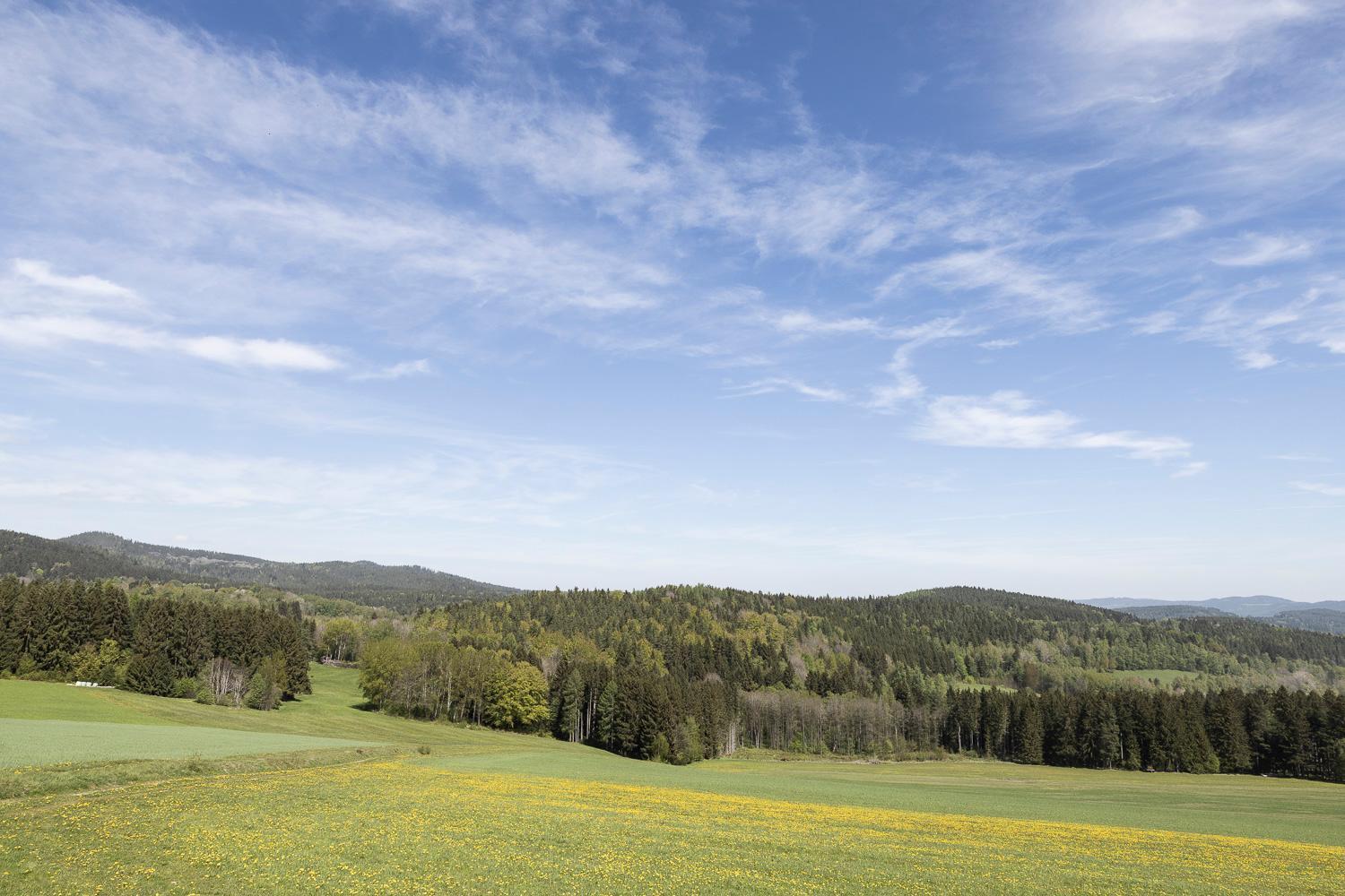 Apartman Manuel Horní Planá Bagian luar foto
