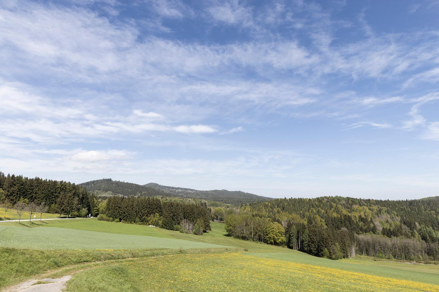 Apartman Manuel Horní Planá Bagian luar foto